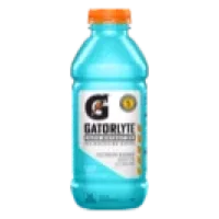 Gatorlyte