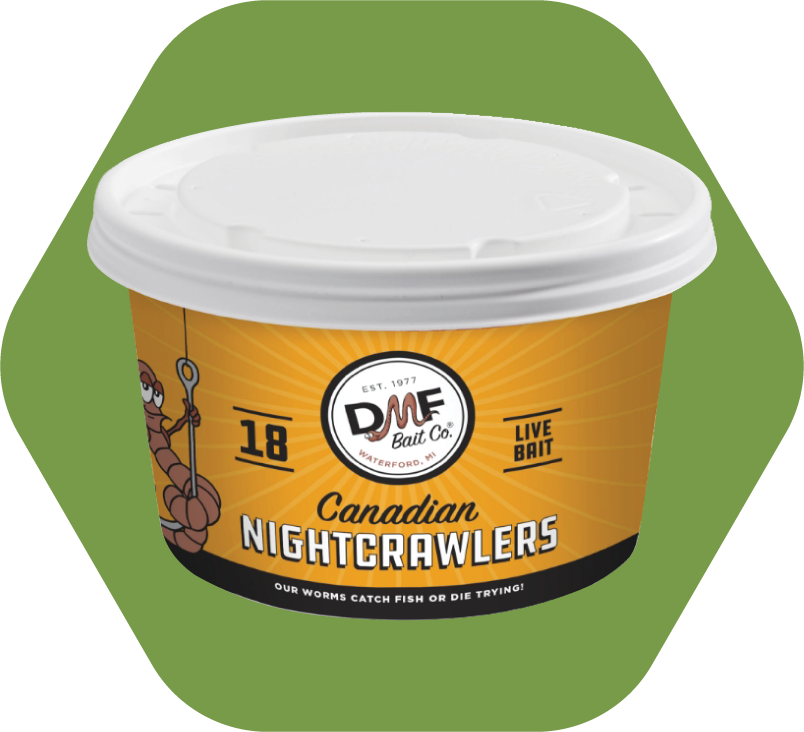 Nightcrawlers