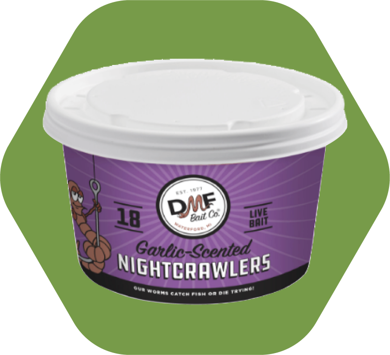 Giant Nightcrawlers
